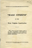 ["&lt;p&gt; Pamphlet. On cover: &quot;What will be the effect of these words in our State Constitution if the Susan B. Anthony amendment becomes part of the Federal Constitution?&quot;&lt;/p&gt;"]